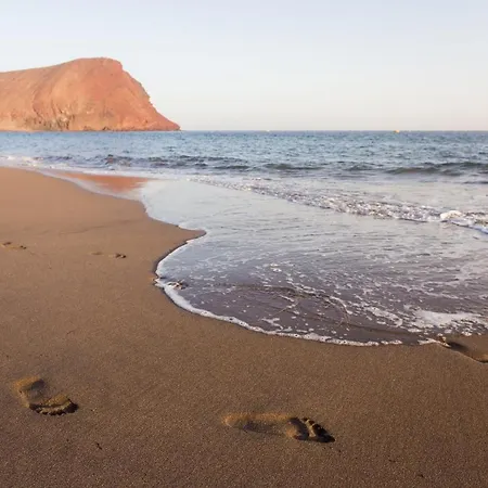 Sotavento Cactus By Sunkeyrents * Granadilla De Abona