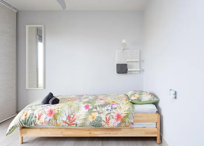 Sotavento Cactus By Sunkeyrents