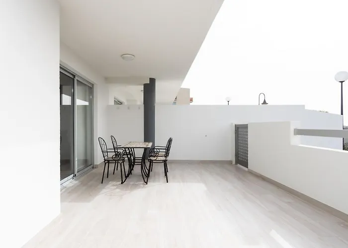 Sotavento Cactus By Sunkeyrents *