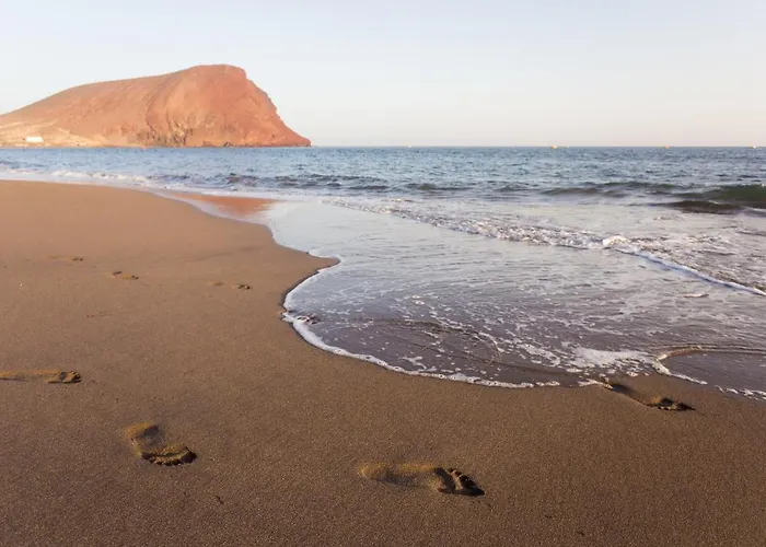 Sotavento Cactus By Sunkeyrents * Granadilla De Abona