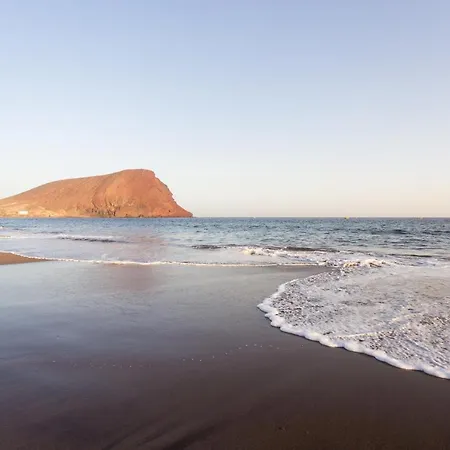 Sotavento Cactus By Sunkeyrents *