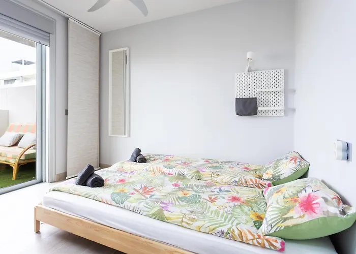 Sotavento Cactus By Sunkeyrents