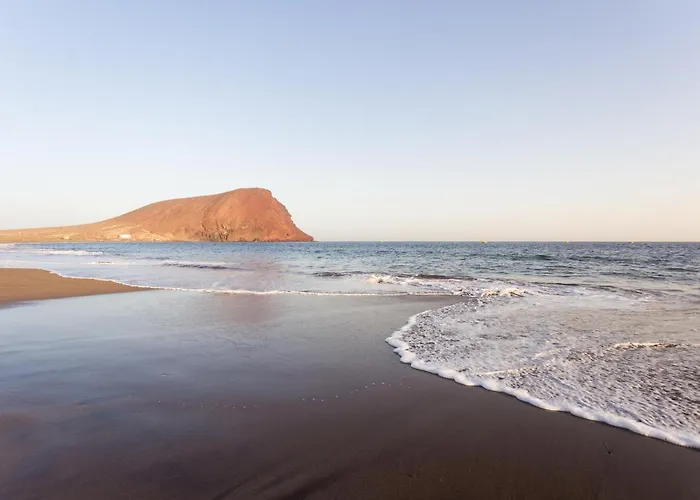 Sotavento Cactus By Sunkeyrents *